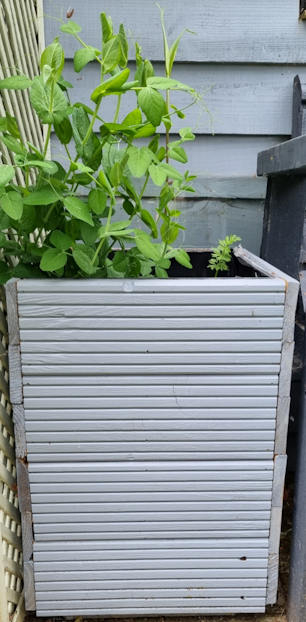 Wooden Planters made